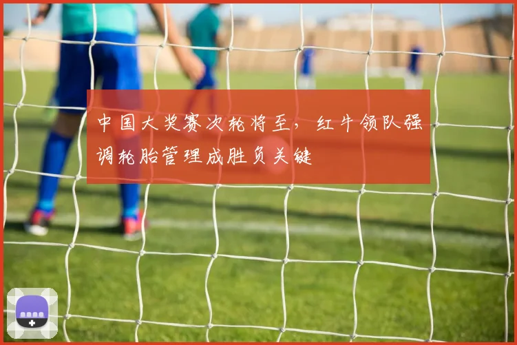 中国大奖赛次轮将至，红牛领队强调轮胎管理成胜负关键